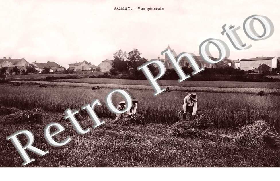 vue générale