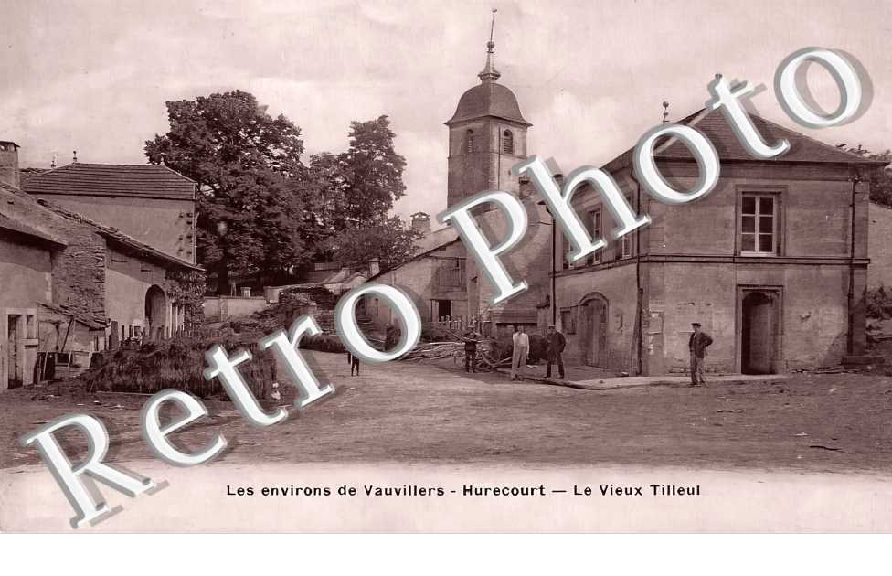 le vieux Tilleul