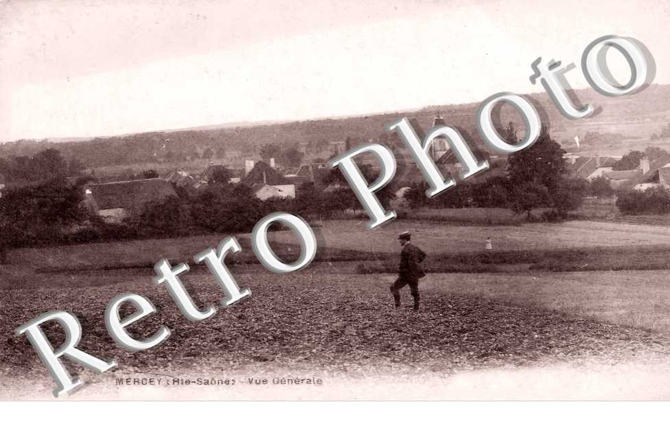 vue générale