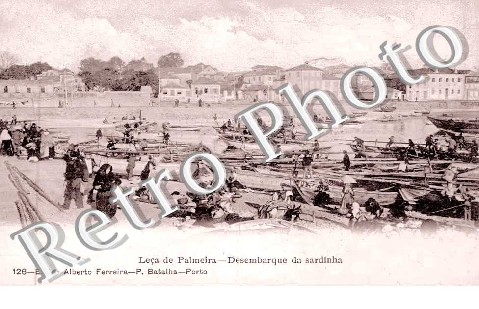 Desembarque da sardinha