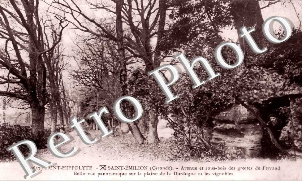 avenue et sous-bois des grottes de Ferrand