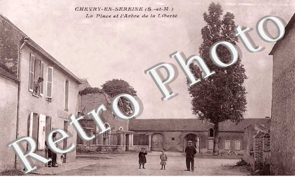 la place et l'arbre de la liberté