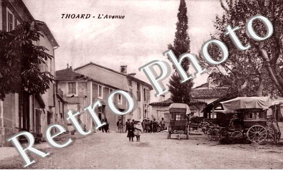 l'avenue