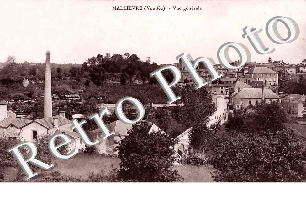 vue générale