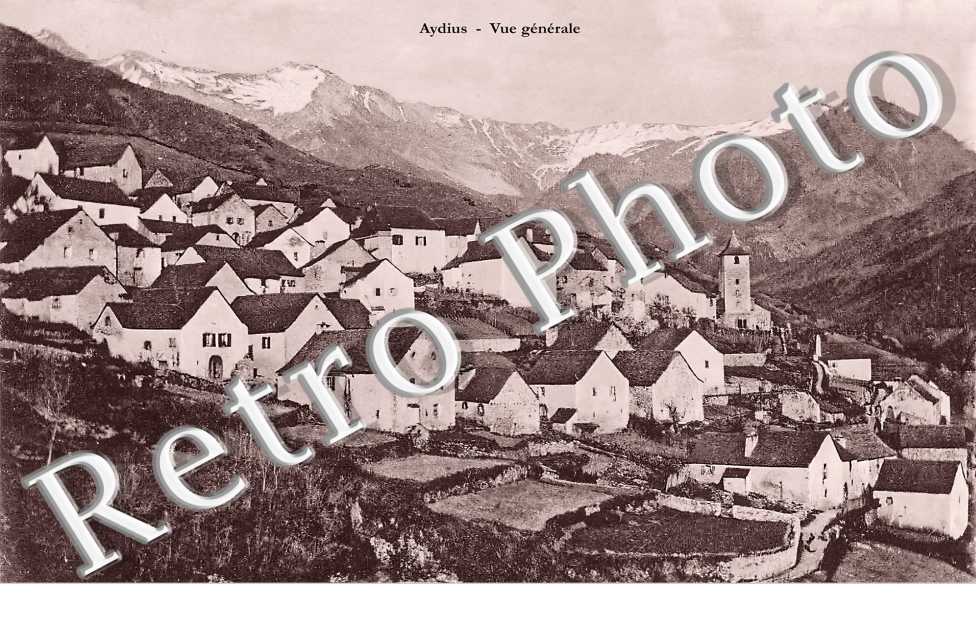 vue générale