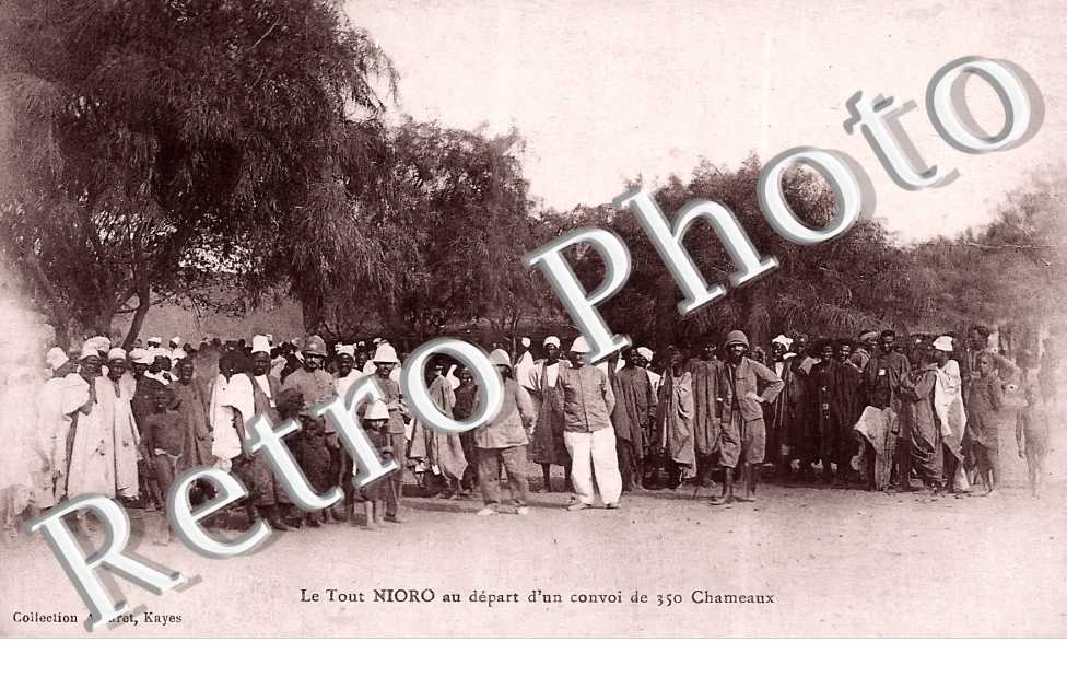 au départ d'un convoi de 350 chameaux