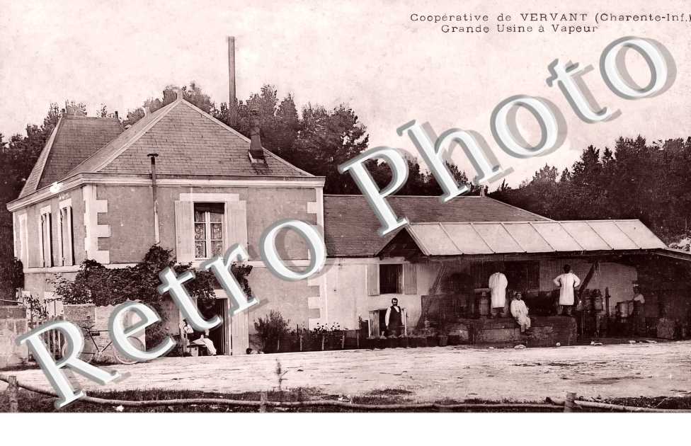 coopérative