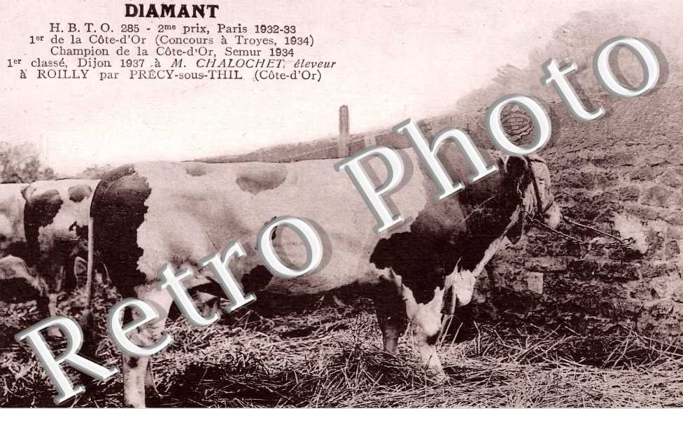 Diamant 2eme prix paris 1932-33
