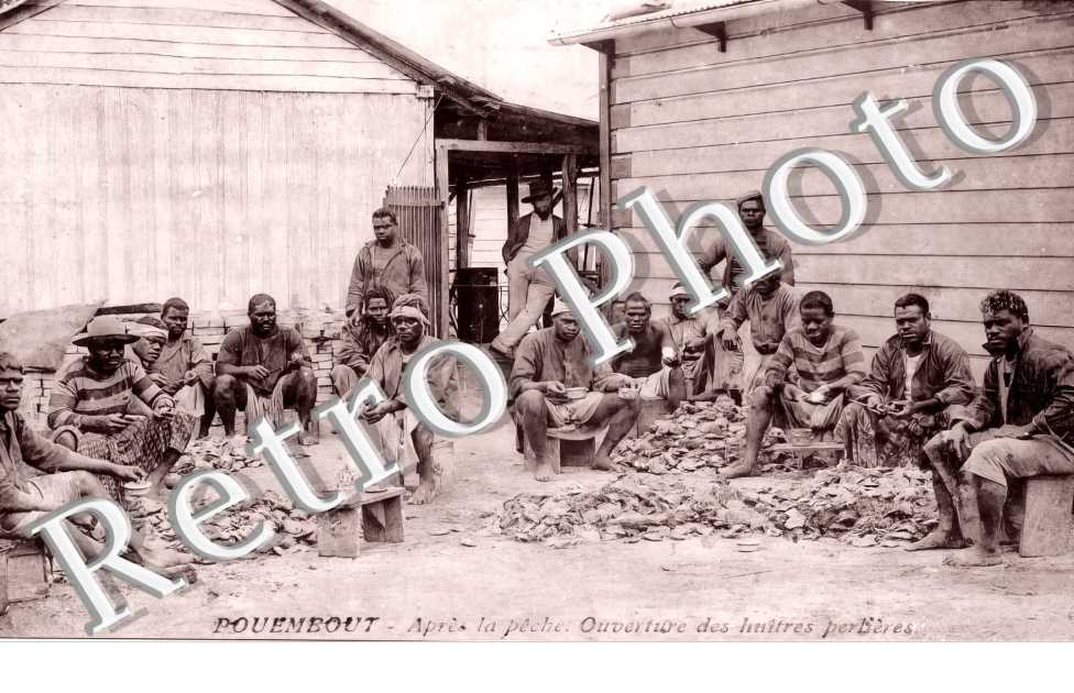 après la pêche. Ouverture des huîtres perlières