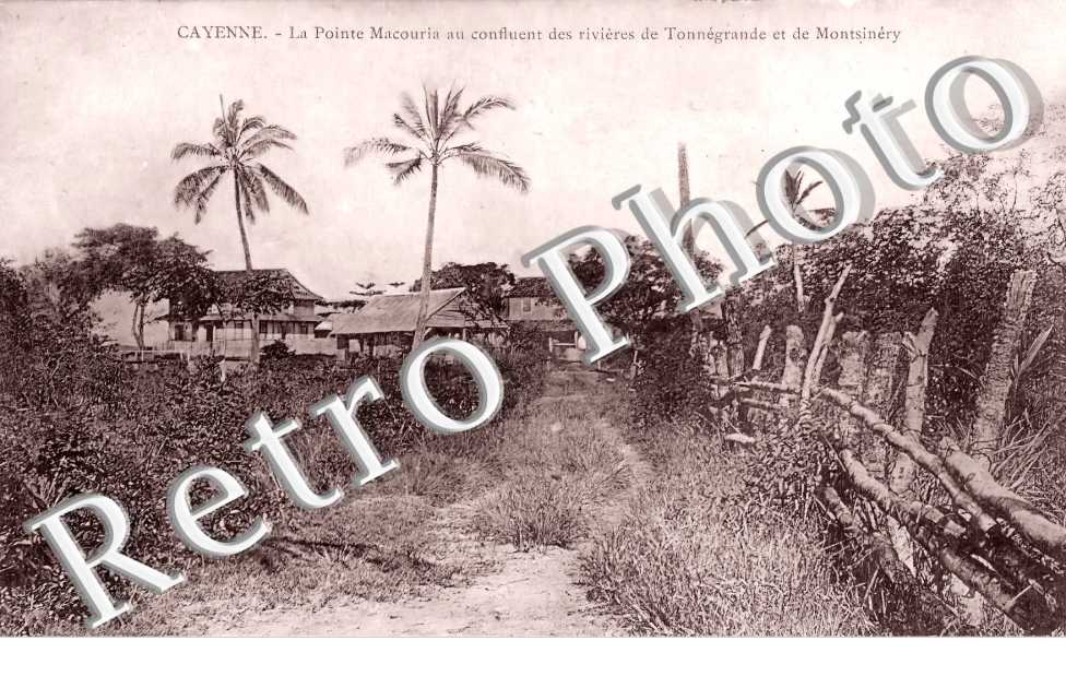 la Pointe Macouria au confluent des rivières de Tonnégrande et de Montsinéry