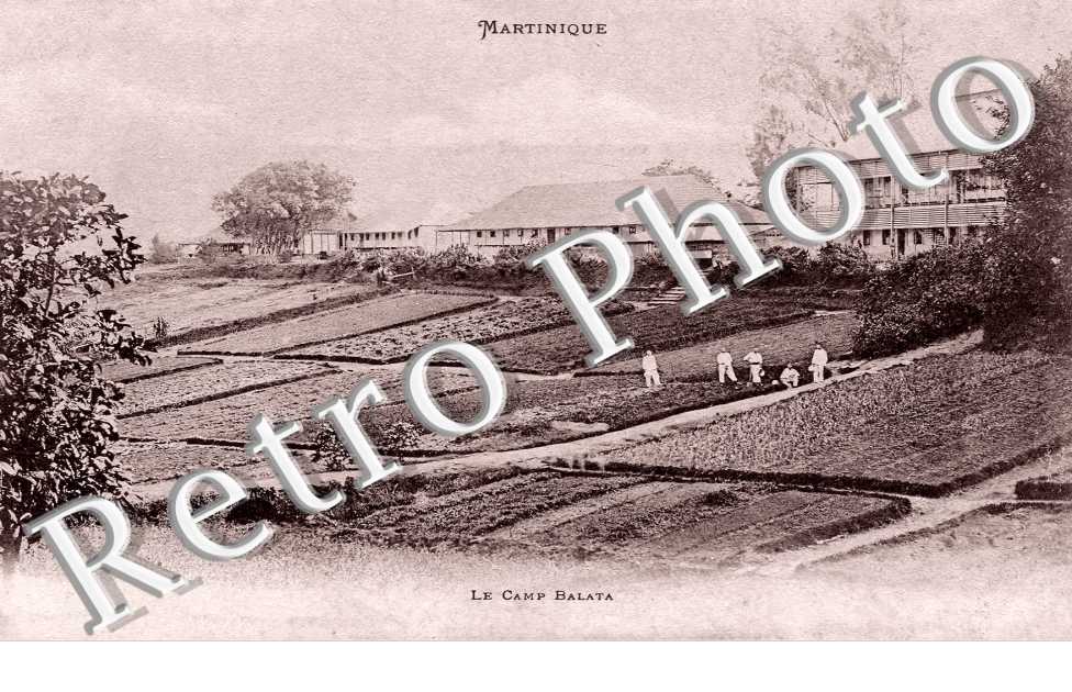 le camp Balata