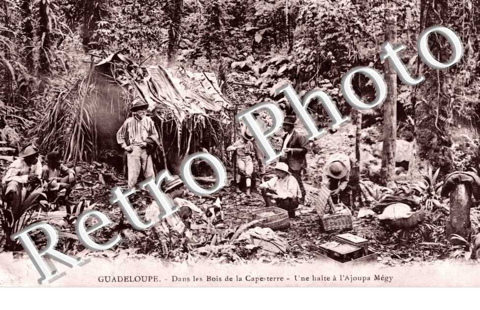 dans les bois de la Capesterre. Une halte à l'Ajoupa Mégy