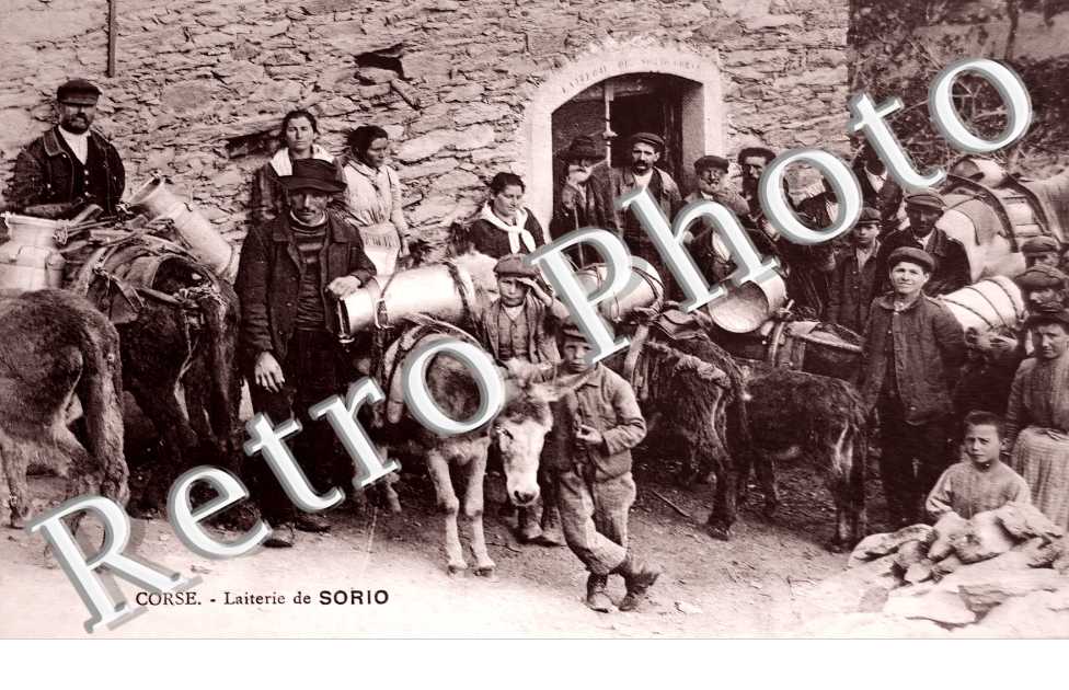 laiterie de Sorio