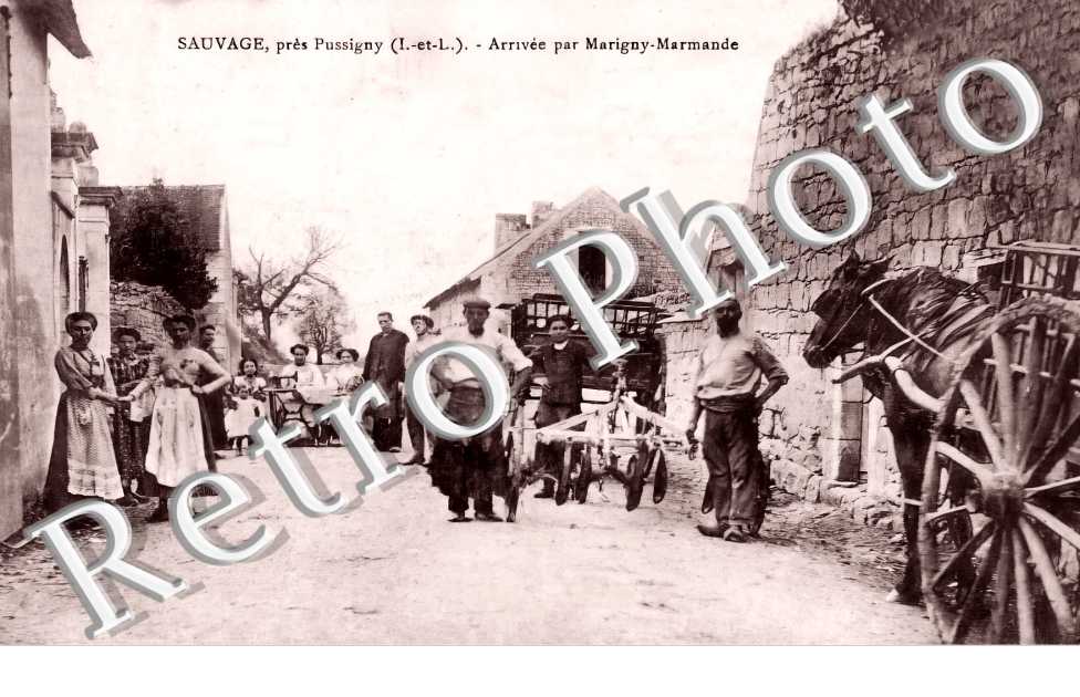 SAUVAGE  arrivée par Marigny-Marmande
