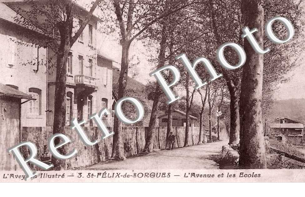 l'avenue et les écoles