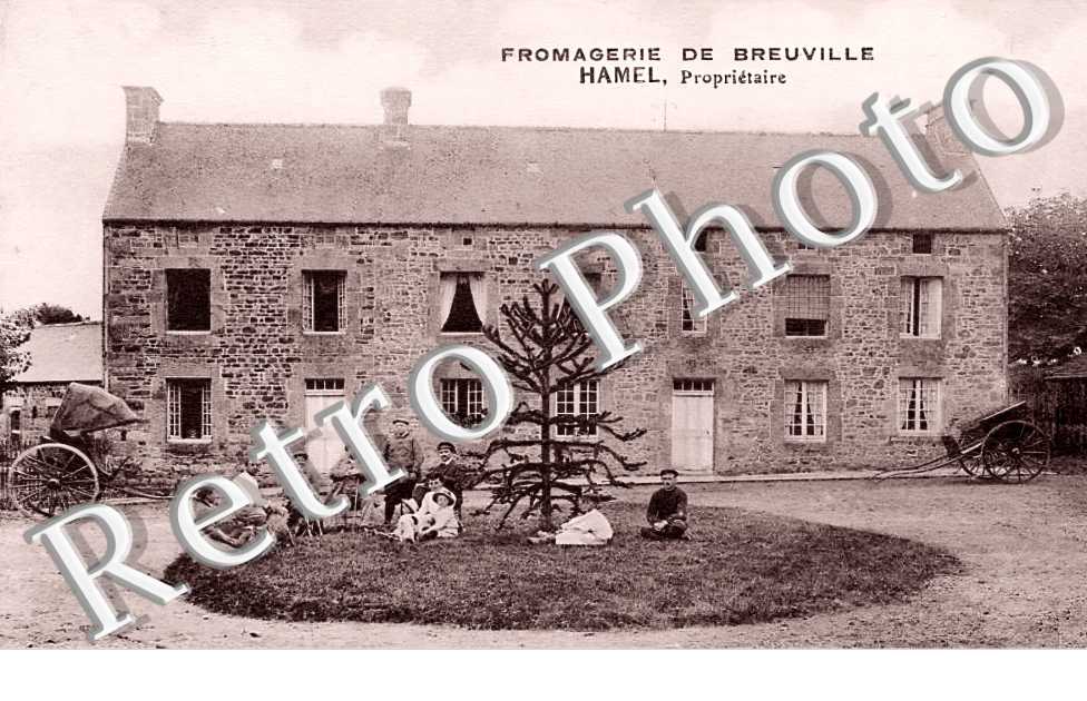 Fromagerie de Breuville Hamel propriétaire