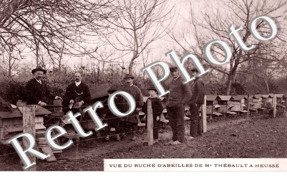 vue du Ruché d'Abeilles de Mr Thébault