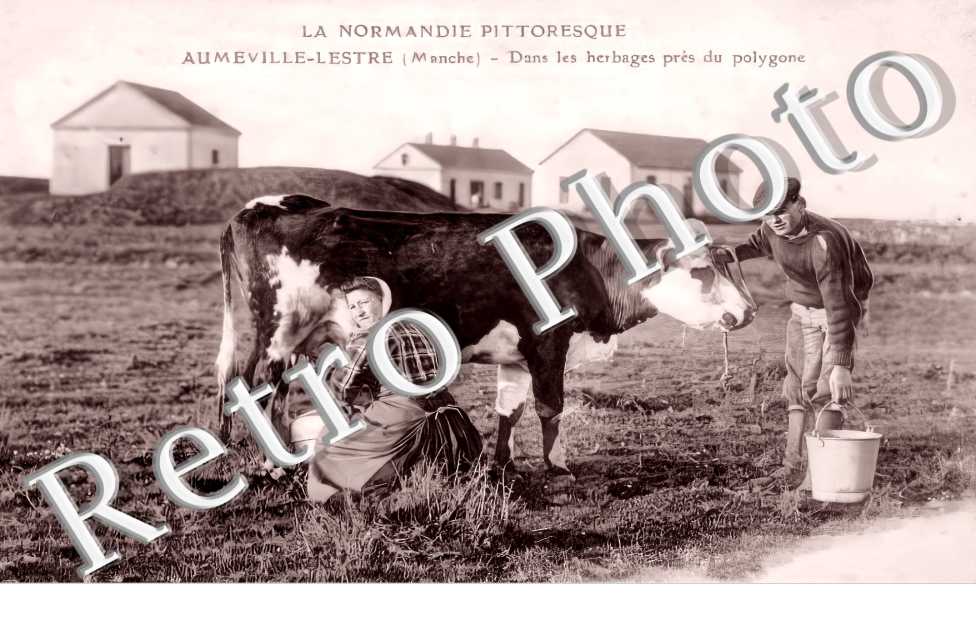 dans les herbages près du polygone
