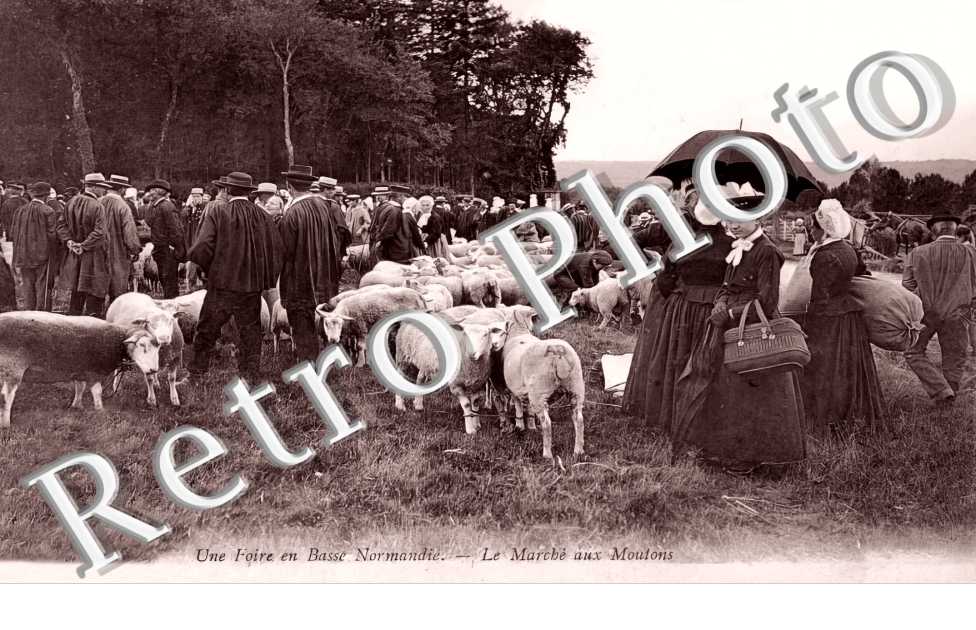 le marché aux moutons