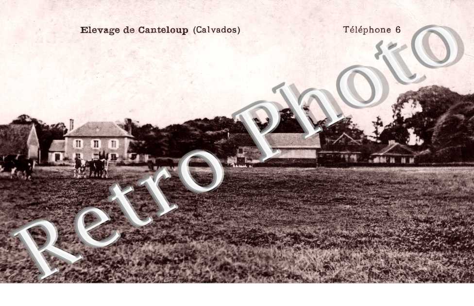 élevage de Canteloup