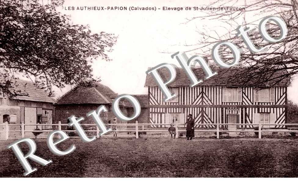 élevage de Saint-Julien-le-Faucon