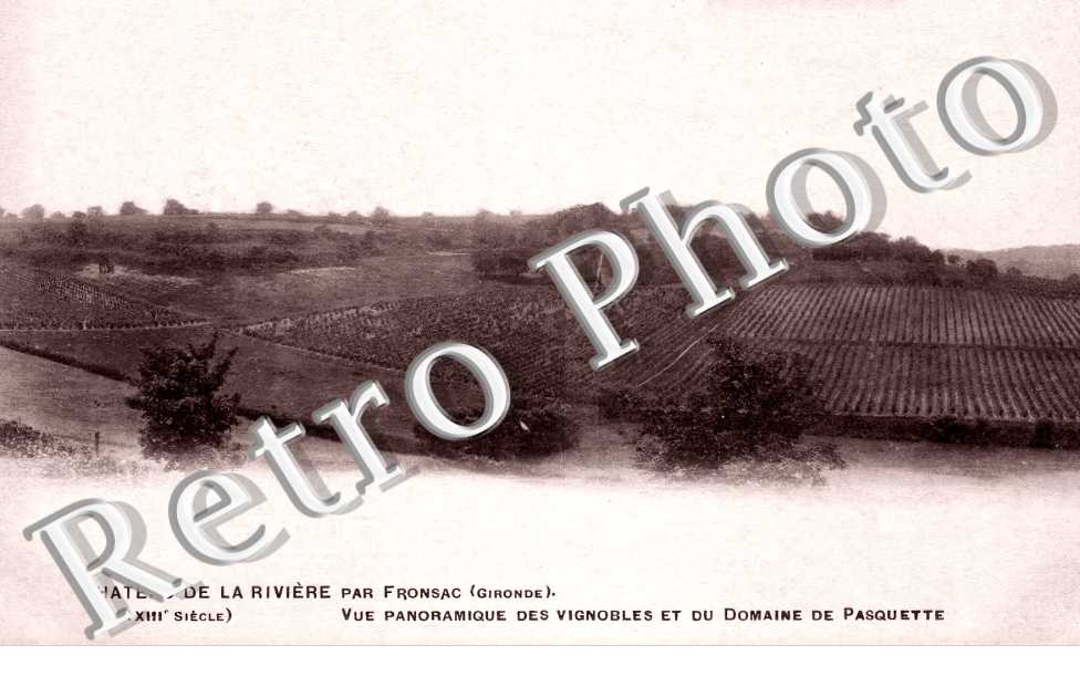 Château de la Rivière. Vue panoramique des vignobles et du domaine de Pasquette