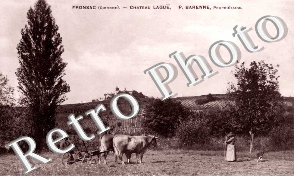 Chateau Laguë. P. Barenne, propriétaire