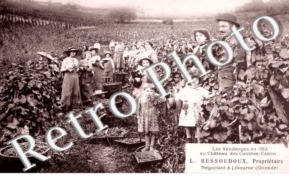 Les vendanges en 1913 au château des Combes-Canon. L. Bessoudoux Propriétaire Négociant à Libourne