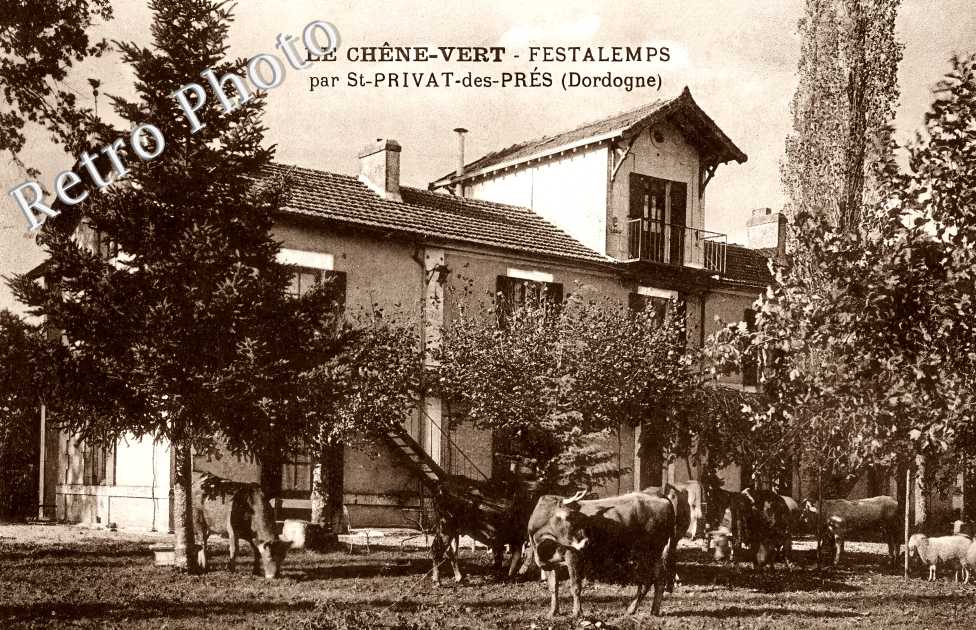 Le Chêne-Vert
