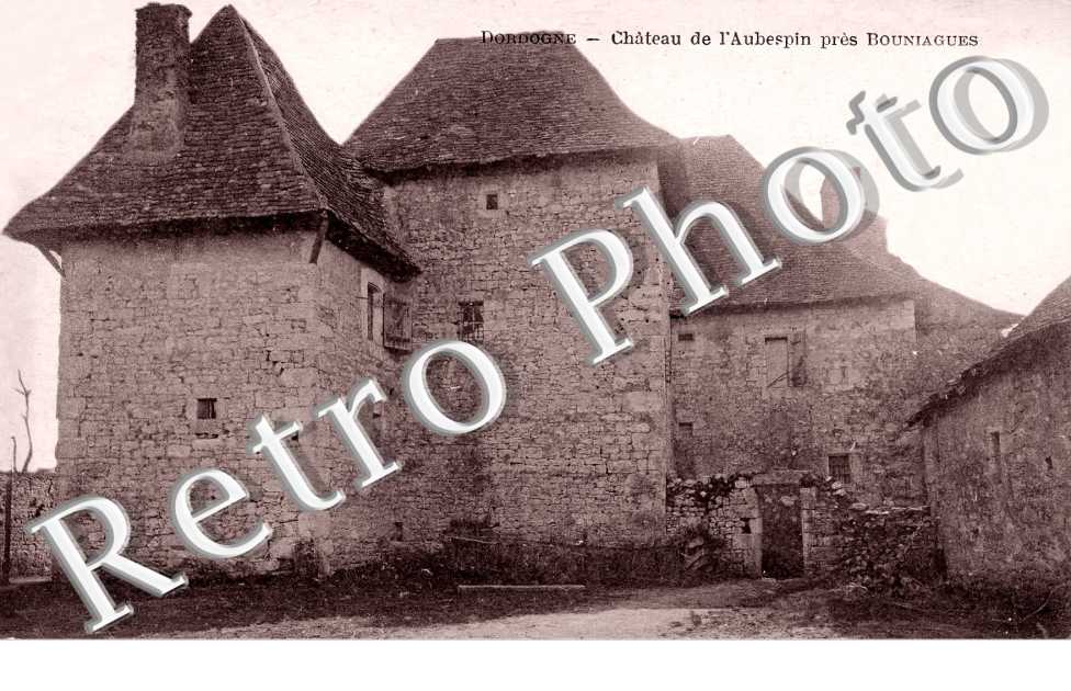 château de l'Aubespin