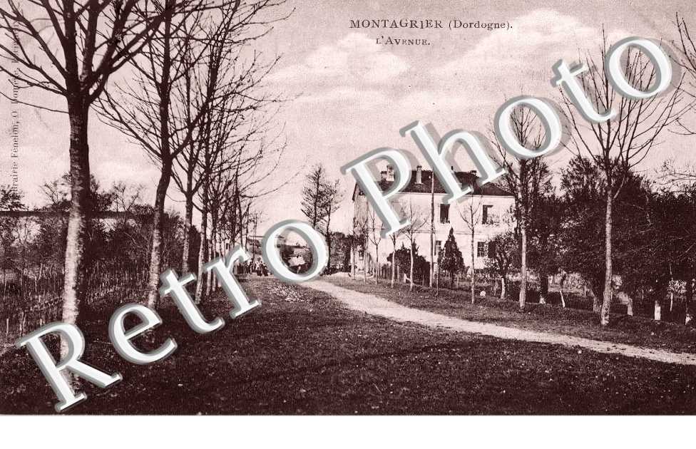 l'avenue