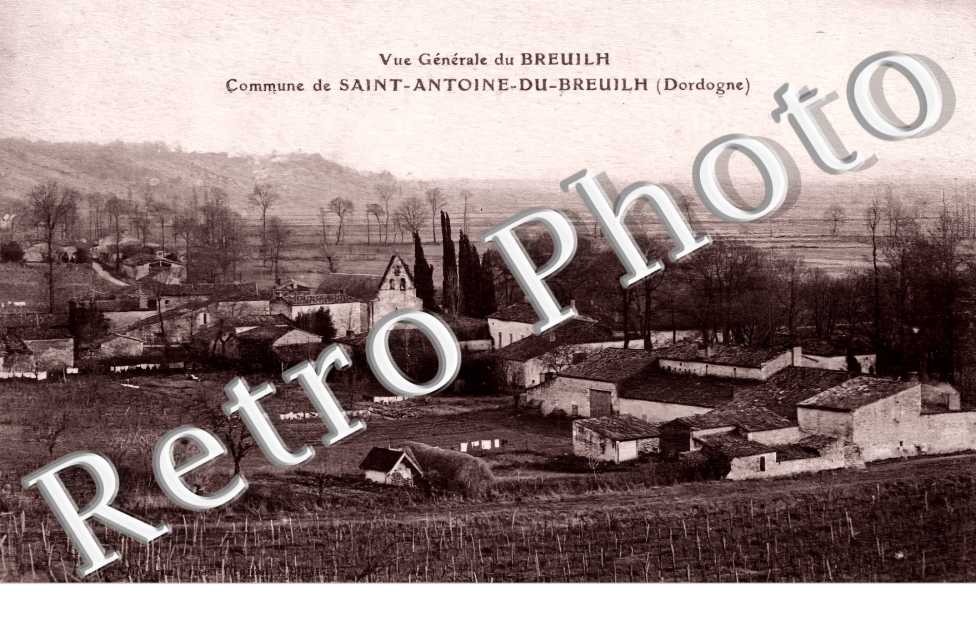 vue générale