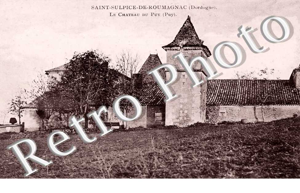 le château du Puy