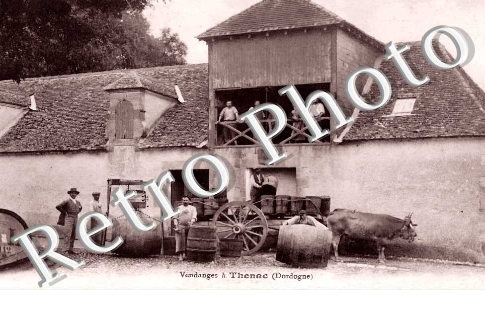VENDANGES