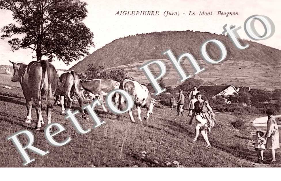 le Mont Beugnon