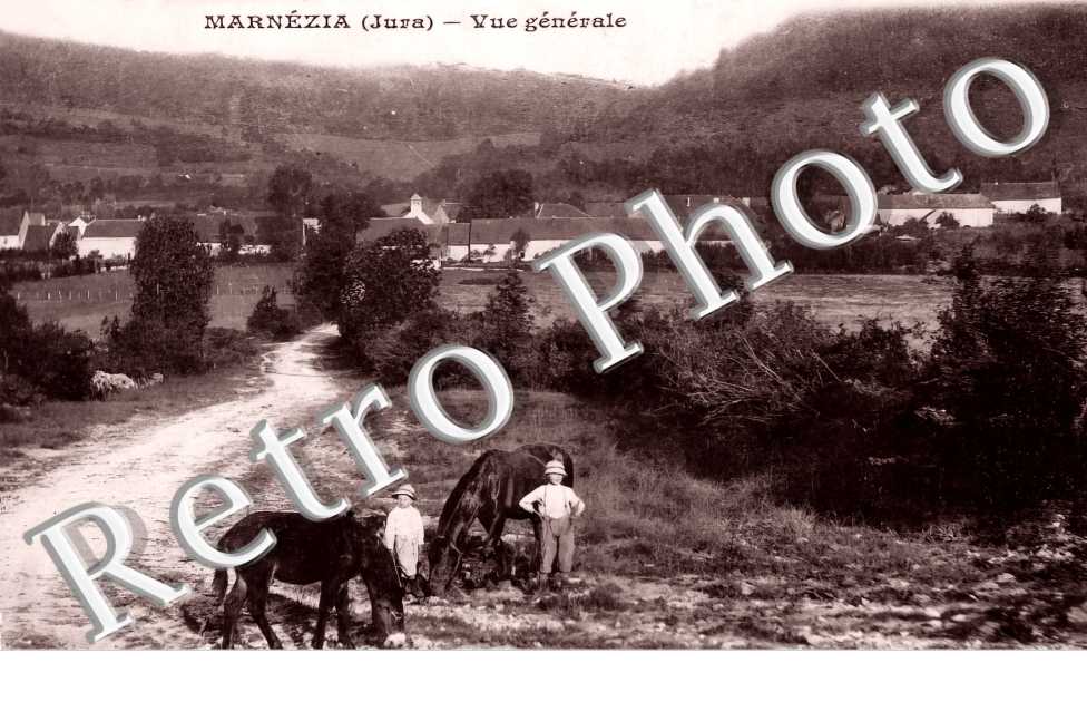 vue générale