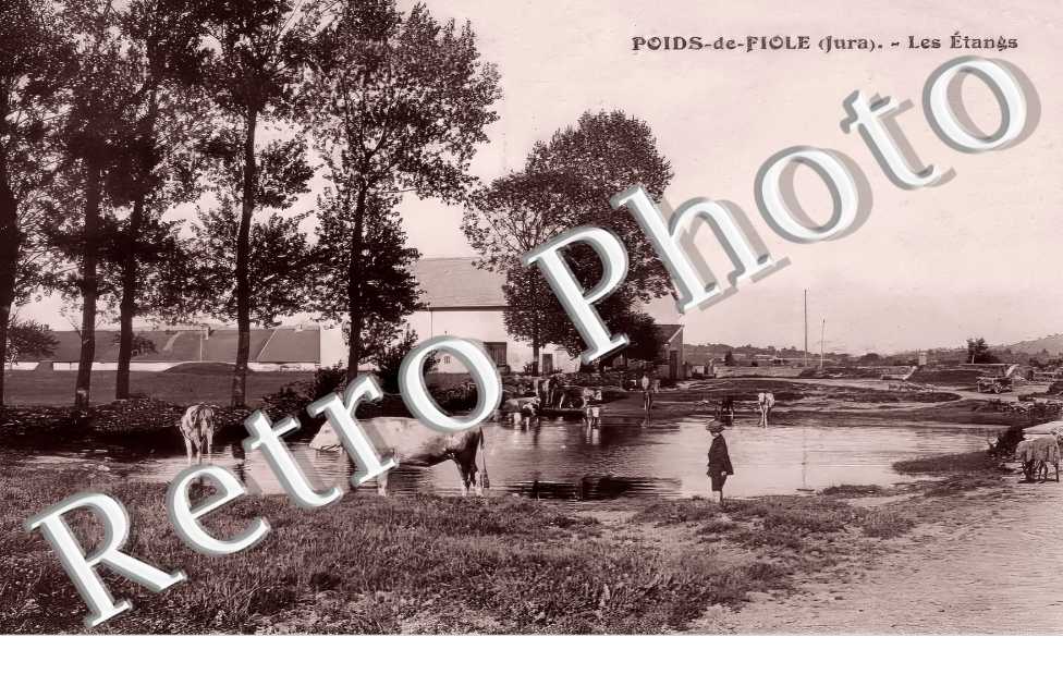 les étangs
