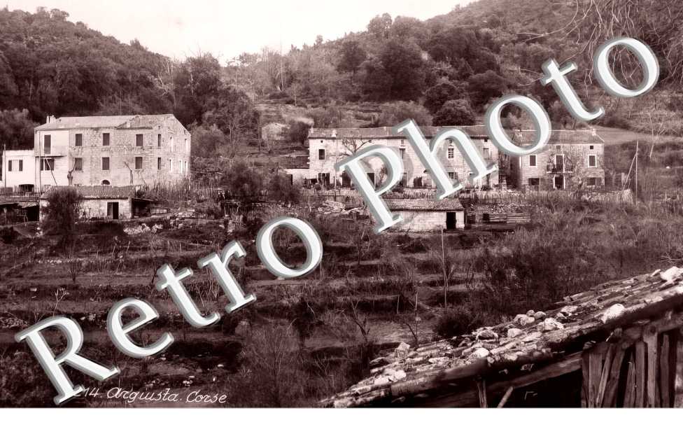 vue générale