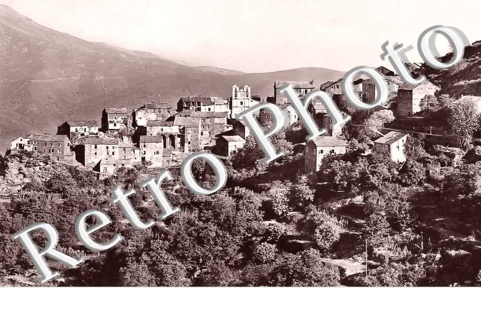 vue générale