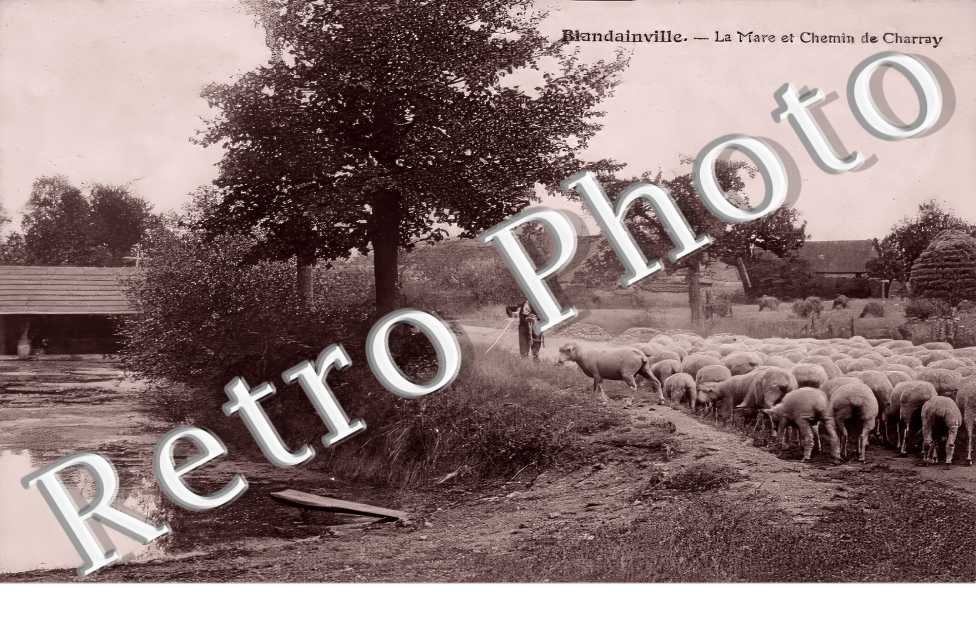 la mare et chemin de Charray