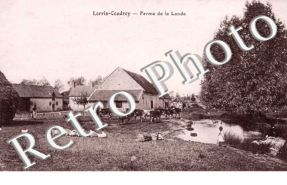 Lorris-Coudroy. Ferme de la Lande