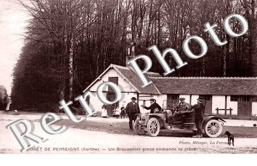 Forêt de Perseigne. Un braconnier pincé demande sa grâce