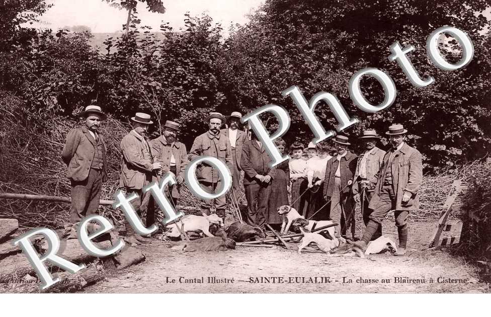 la chasse au Blaireau à Cisterne