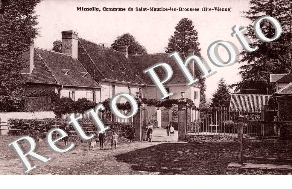 Mimolle