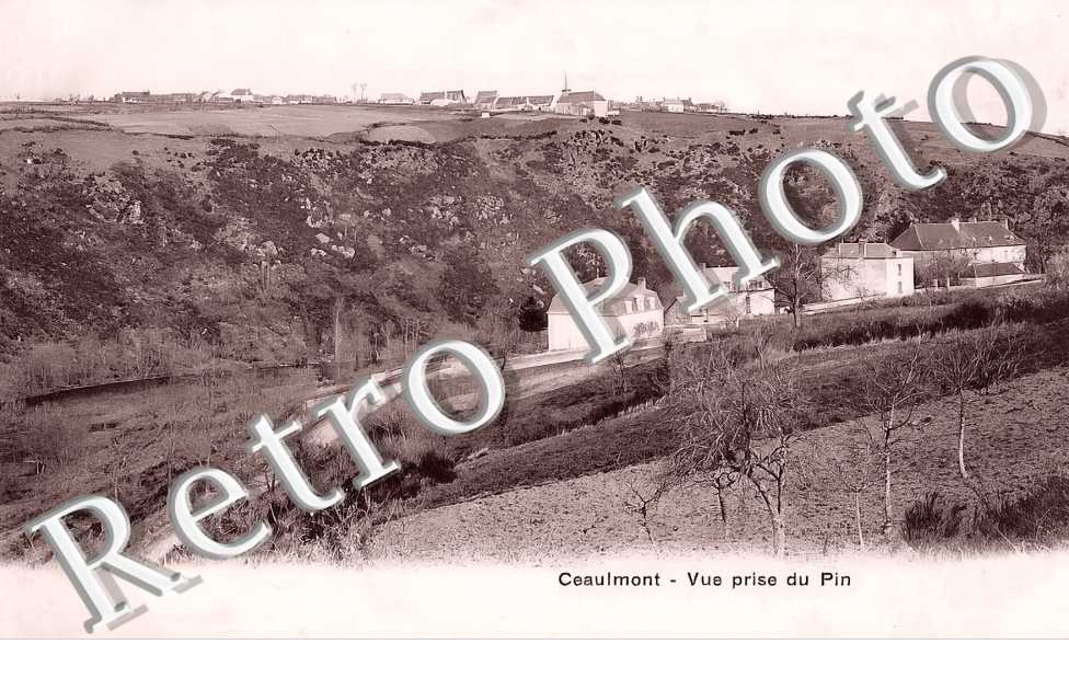 vue prise du Pin