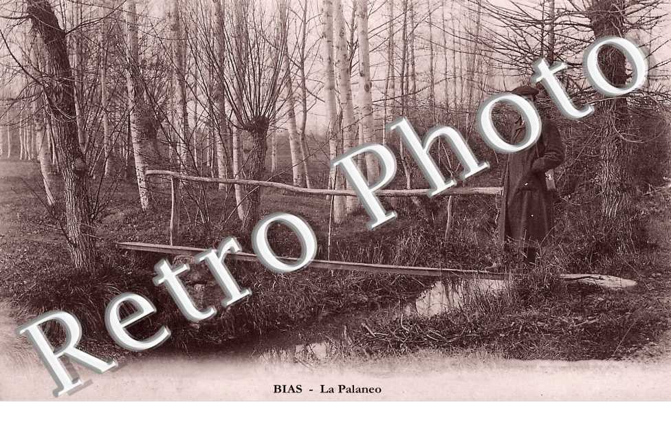le Palaneo