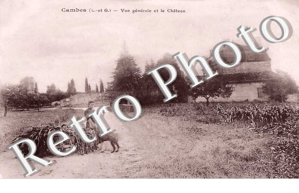 vue générale et le château