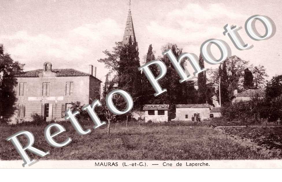 Mauras