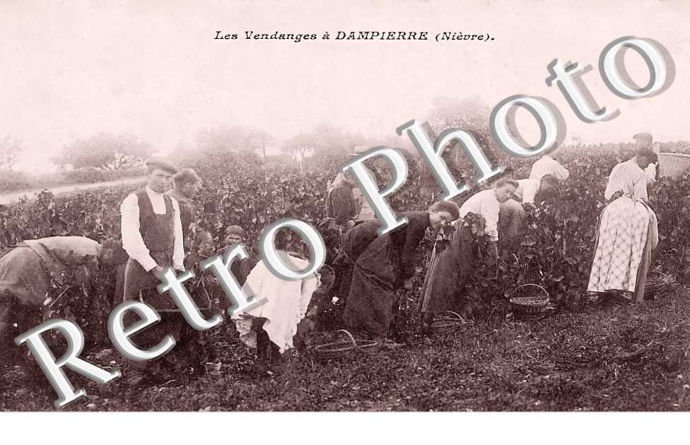 les vendanges