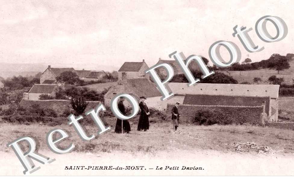 le Petit Davion